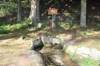 .......am Haselbrunnen