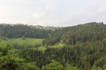 Blick auf Aichhalden