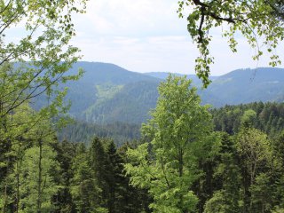 Vereinsbilder &raquo; Impressionen